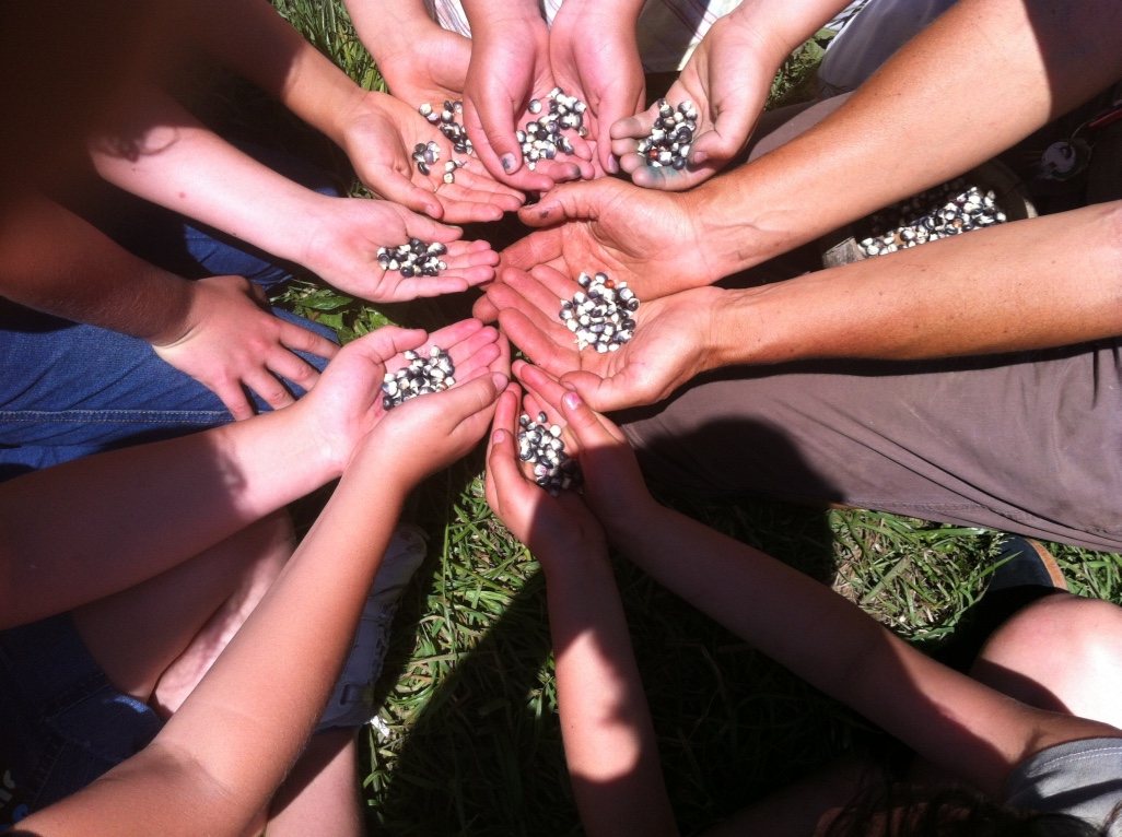 A circle of children's and adults' hands, each holding seeds from the school's corn harvest.