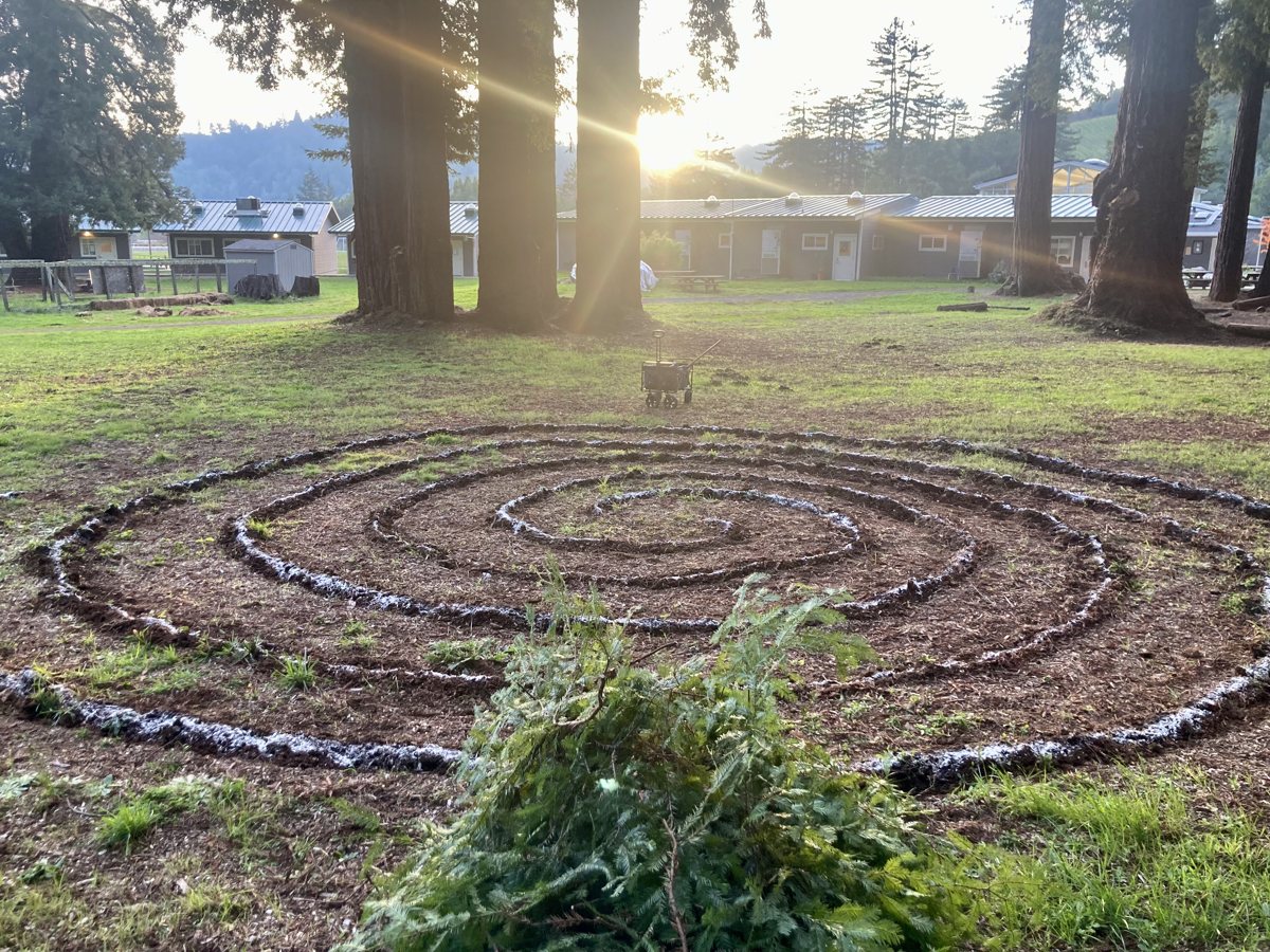 A spiral path laid out in the redwood grove for the winter solstice.