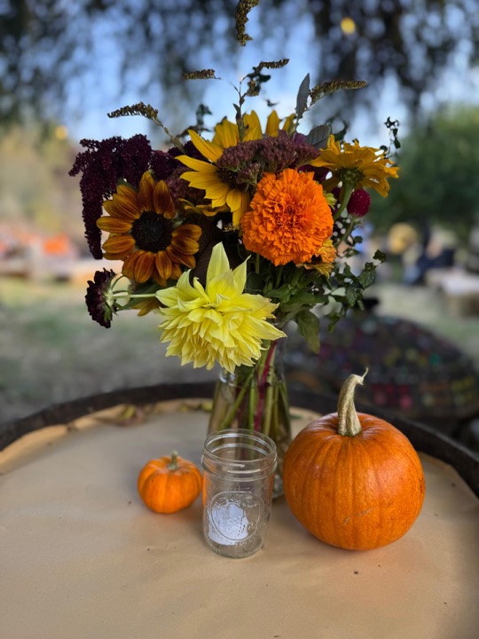 A jar of sunflowers, marigolds and a yellow dahlia on a barrel in the afternoon light.